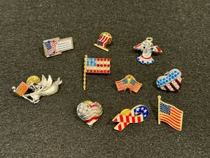 lot 69 image: Assortment of Americana Pins