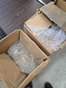lot 41 image: 2 Large boxes of 12 Wood Plugs