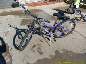lot 28 image: Adult Schwinn Bike