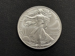 2024 Silver Eagle