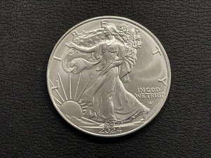 2024 Silver Eagle
