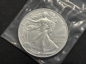 2024 Silver Eagle