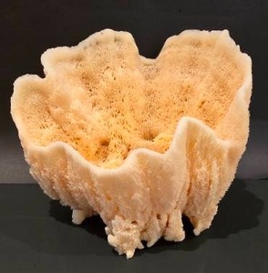 lot 38 image: Vintage Sea Sponge Vase