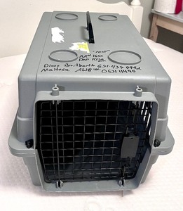 lot 113 image: Small Pet Carrier