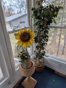 Pair of inspiring artificial plant arrangements.