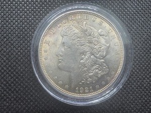 1921 MS Morgan Dollar, Unmarred Cheek, Nearly Clear Fields, Slightly Toned