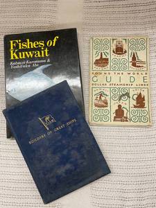 lot 31 image: Vintage Nautical and Travel Book Collection - Maritime and Guidebooks