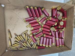 Shotgun Ammo and .223 Ammo