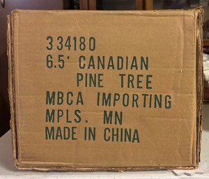 lot 179 image: Canadian Pine Tree 6.5