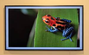 lot 4 image: Samsung 50 Frame Smart TV and Connect One Box