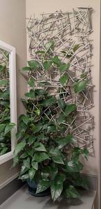 lot 39 image: Unique Metal Wall Hanging and Climbing Pothos Plant