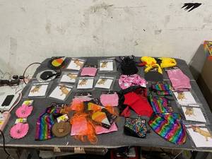 lot 143 image: LOT OF Dog Costumes