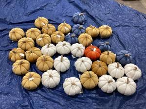 lot 529 image: Miscellaneous LOT of Way to Celebrate 6 x 9  Velvet Pumpkin Shaped Decorative Pillows