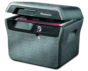 lot 420 image: Sentry Safe FHW40100 Waterproof Fire-Resistant File .66 Cubic Feet