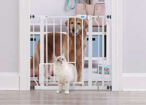 lot 616 image: Carlson Extra Wide Walk Through Pet Gate with Small Pet Door