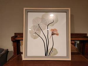 lot 178 image: Floral Framed Art Decor