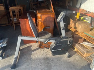 lot 12 image: Schwinn Exercise bike