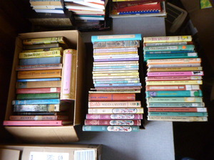 Over 65 Vintage YouthYoung Adult Chapter Books