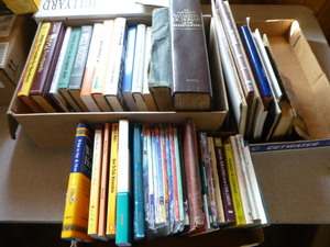 Lot of Vintage Adult Books