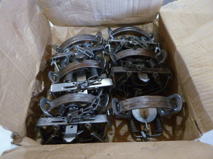 Box of 11 Oneida Victor Coil Spring Traps