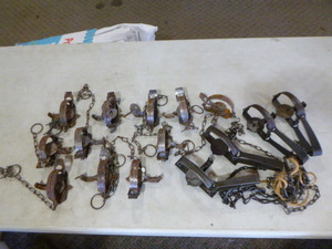 Lot of 15 Small Animal Coil Spring Traps