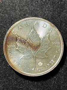 2019 CANADIAN MAPLE LEAF 1 TROY OZ .9999 FINE SILVER