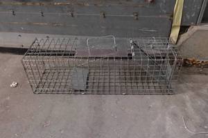 lot 53 image: Havahart Live Trap