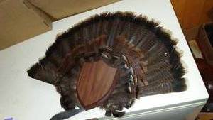 lot 573 image: Decorative Turkey Feather Fan with Wood Base