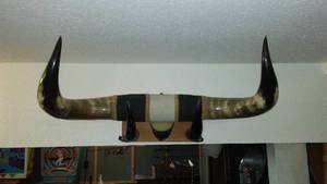 lot 632 image: Mounted Decorative Bull Horns Wall Art with Rustic Finish