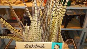 lot 663 image: Collection of Pheasant Tail Feather. (Approx. 25)