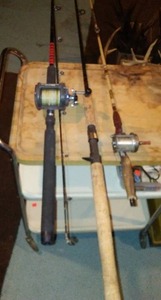 lot 686 image: Collection of Fishing Rods and Reels, Pflueger, Daiwa