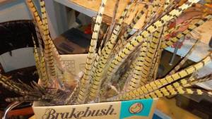 lot 711 image: Collection of Pheasant Tail Feather. (Approx. 25)
