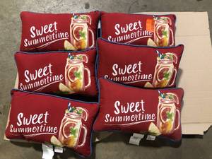 Lot of Sweet Summertime Throw Pillows  Customer Returns See Pictures