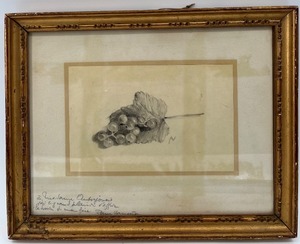 lot 109 image: Vintage Framed Original Drawing of Grapes by Rene Auberjonis Rough Sketch