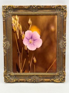 lot 149 image: Vintage JIM ERICKSON Photography Signed Flower PHOTO Framed