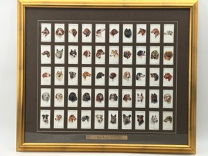 lot 245 image: Vintage 20s DOG HEAD Collectible Cigarette Cards Framed Into Art