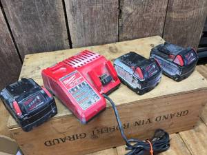 lot 111 image: Milwaukee M12M18 Charger & 3 M18 Batteries