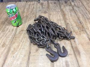 lot 256 image: 15 Ft Light Chain with Hooks