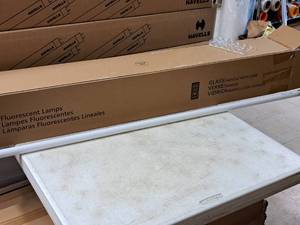 lot 918 image: Lot of (1 Case) Current Fluorescent Lamps T8 32W 4100K F32T8SPX41ECO2 G13 36-count ( 36 total items )