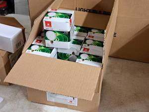 lot 948 image: Lot of (2 Cases) Havells Incandescent White Globe Light Bulbs 60W G25 Medium Base 12-count ( 24 total items )