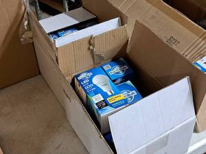lot 950 image: Lot of (19) Earth Bulb LED Dimmable Light Bulbs 2700K 120V9W Soft White A19