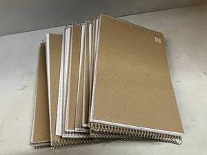 Steno Notebooks