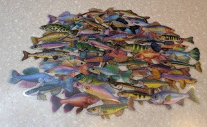 lot 426 image: 50 Total Brand New Vibrant Colorful Fish Stickers P