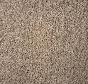 422 Sq Ft (12 x 352) Shaw Timless Tweed II Shetland Carpet Roll