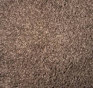 516 Sq Ft (12 x 43) Shaw Timless Tweed II Tibetan Carpet Roll