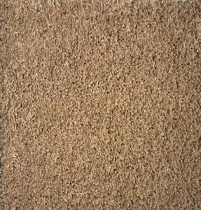 582 Sq Ft (12 x 486) Shaw Timless Tweed II Santa Cruz Carpet Roll