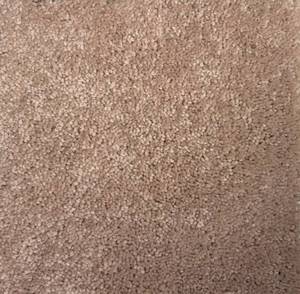 990 Sq Ft (12 x 926) Shaw Valleydale Cameo Carpet Roll