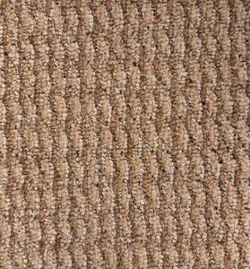 433 Sq Ft (12 x 36) Shaw Step Up Norman Carpet Roll