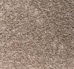 732 Sq Ft (12 x 61) Karastan Natures Bounty Sandpiper Carpet Roll