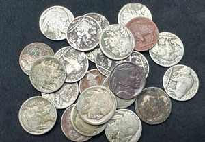 Lot of 25 Buffalo Nickels